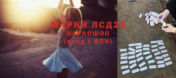 СК Алзамай