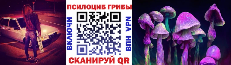 Псилоцибиновые грибы MAGIC MUSHROOMS  hydra зеркало  Островной  дарнет шоп 